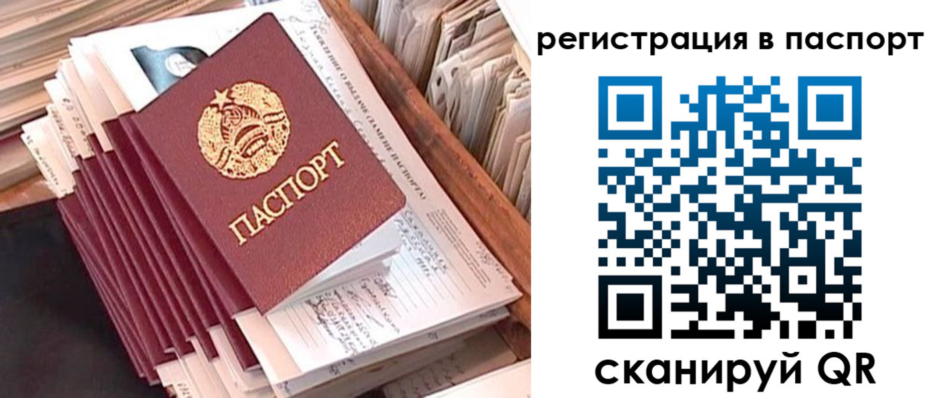 временная регистрация 2025 в Пионерском